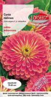 CYNIA DALIOWA OSOSIOWORӯOWA - 1 g TORSEED